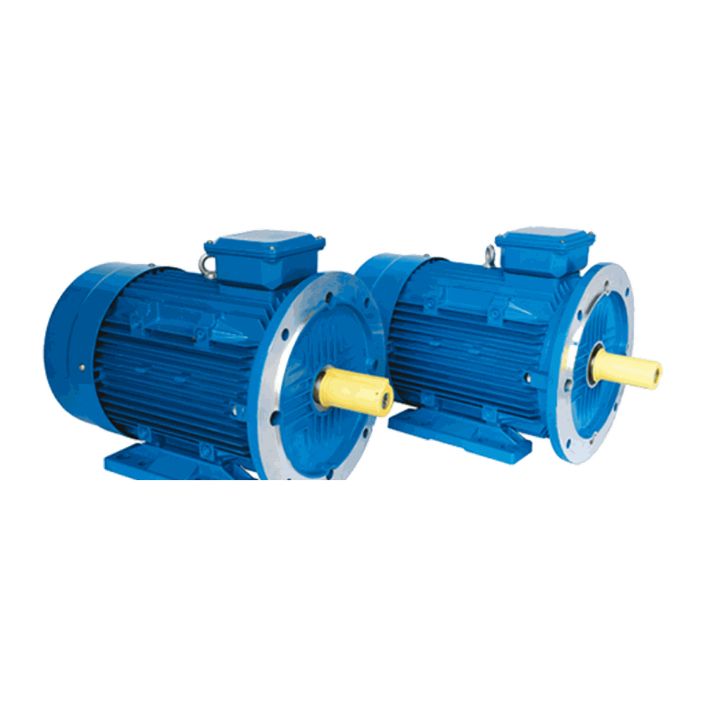 DYTY Self-Starting Permanent Magnet Synchronous Motor, 0.55–37 kW