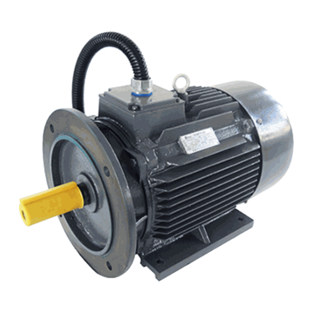 DYTYP Variable-Frequency Permanent Magnet Synchronous Motor, 5.5–160 kW